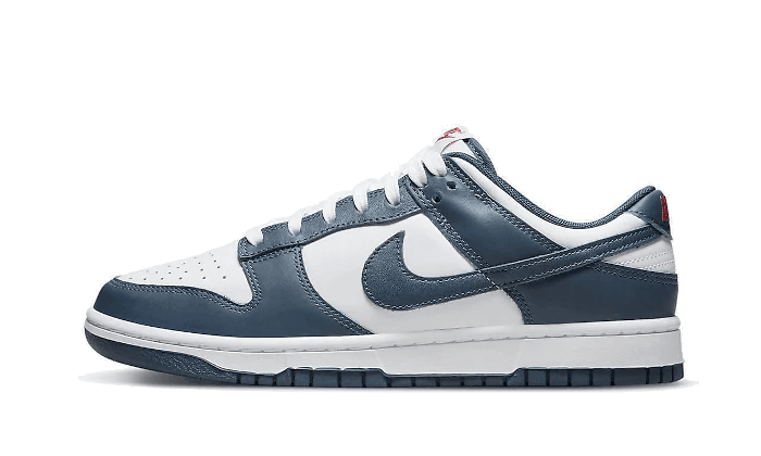 Nike Dunk Low Valerian Blue