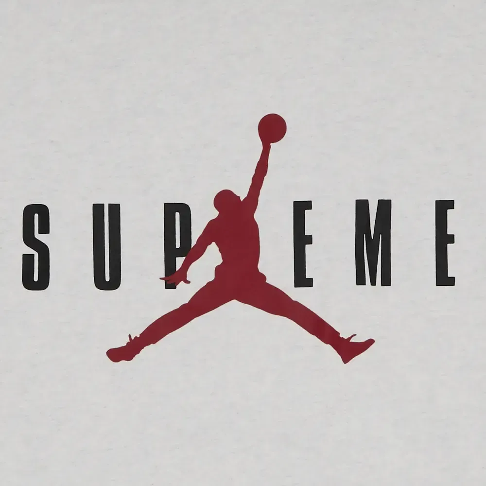 Supreme Jordan Hoodie Sweatshirt Ash Grey