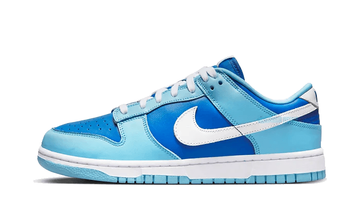 Nike Dunk Low Argon