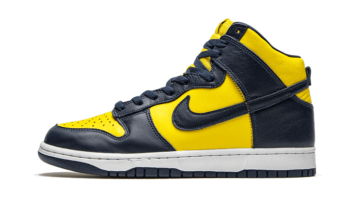 Nike Dunk High Michigan 43