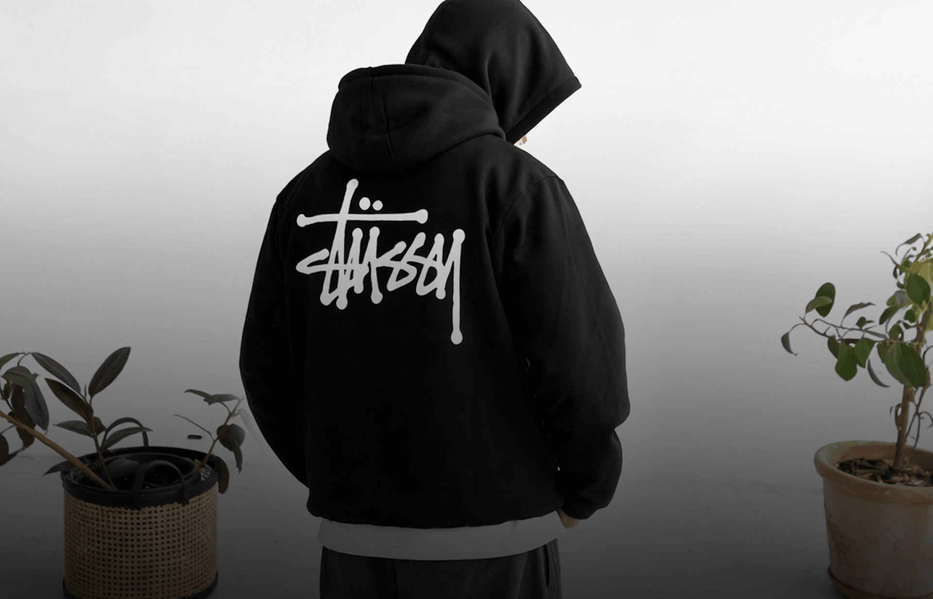 Stussy