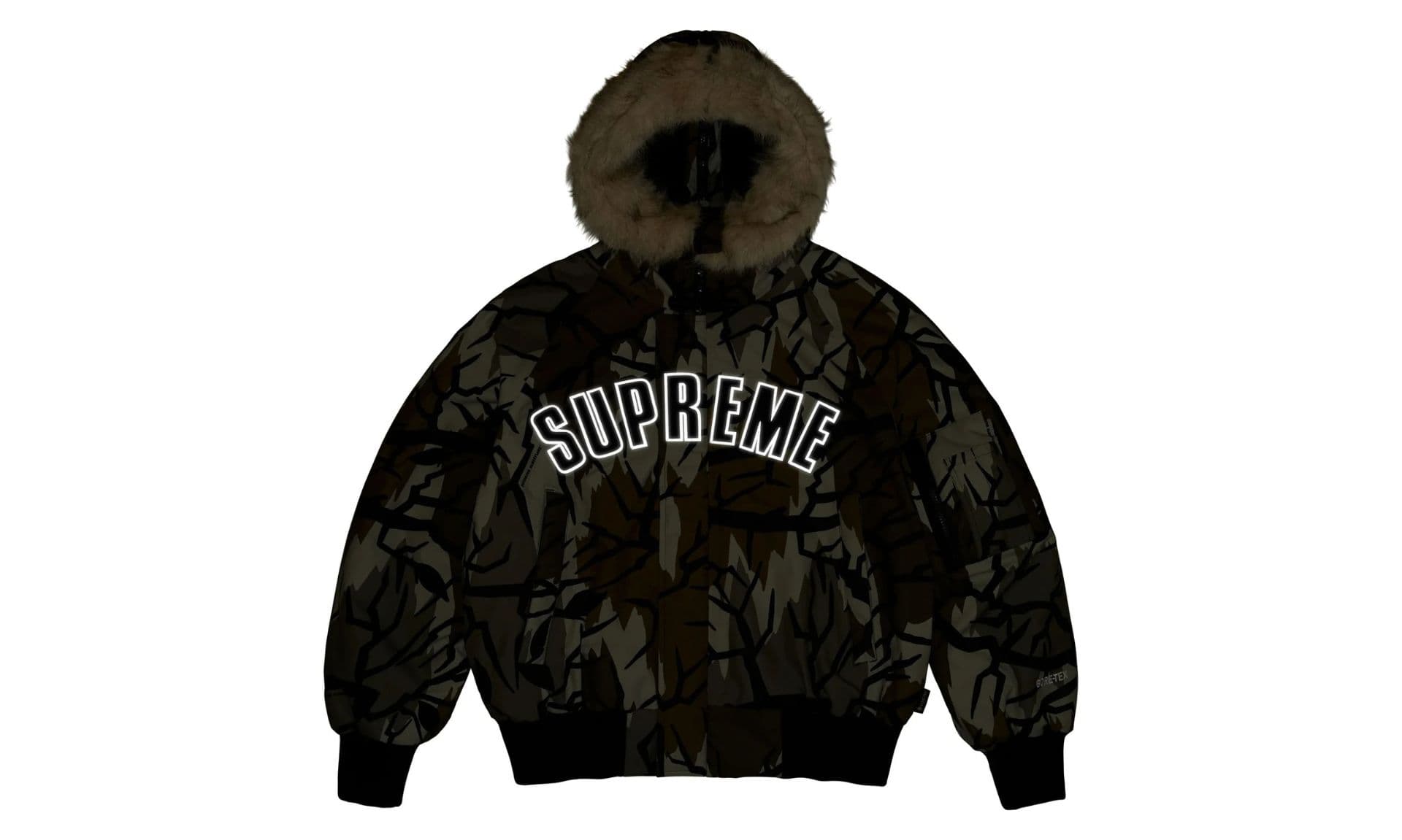 Supreme GORE-TEX N-2B Jacket Predator Camo | OVERCEZ