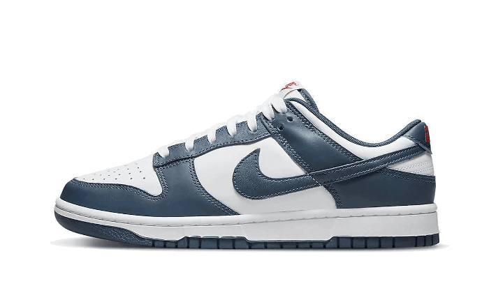 Nike Dunk Low Valerian Blue | OVERCEZ