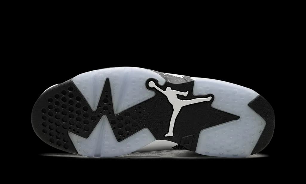 Air Jordan 6 Retro Reverse Oreo | OVERCEZ